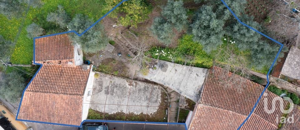 Moradia T3 em Lousã e Vilarinho de 351 m²