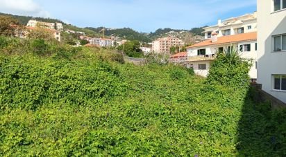 Terrain à Caniço de 1 910 m²