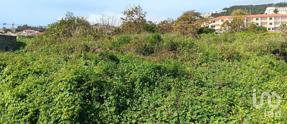Terreno em Caniço de 1 910 m²