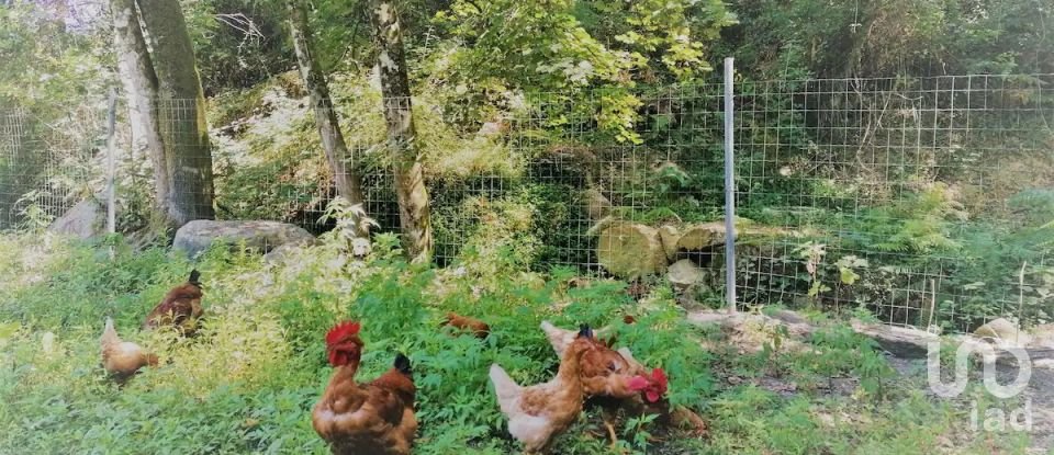 Maison de village T2 à Sousela de 6 500 m²