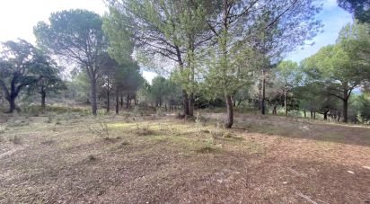 Terrain à Galveias de 28 000 m²