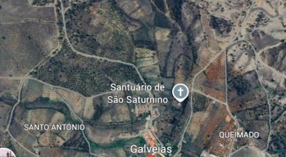 Terrain à Galveias de 28 000 m²