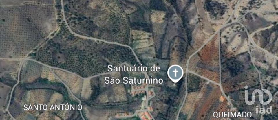 Terrain à Galveias de 28 000 m²