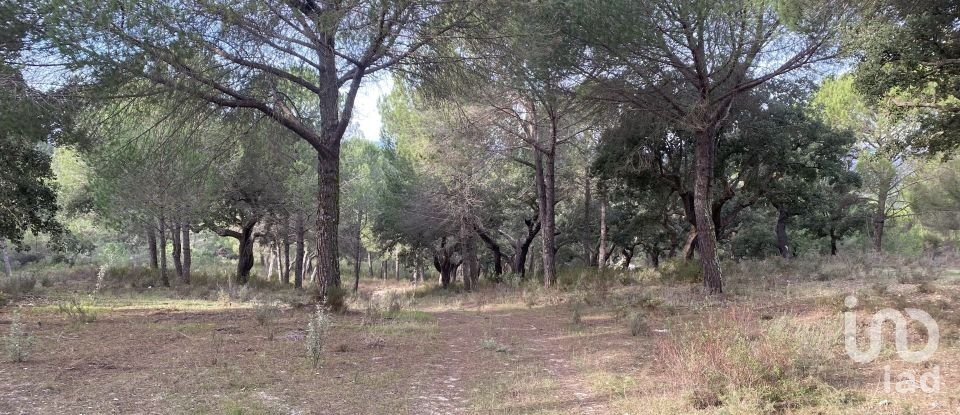 Terrain à Galveias de 28 000 m²