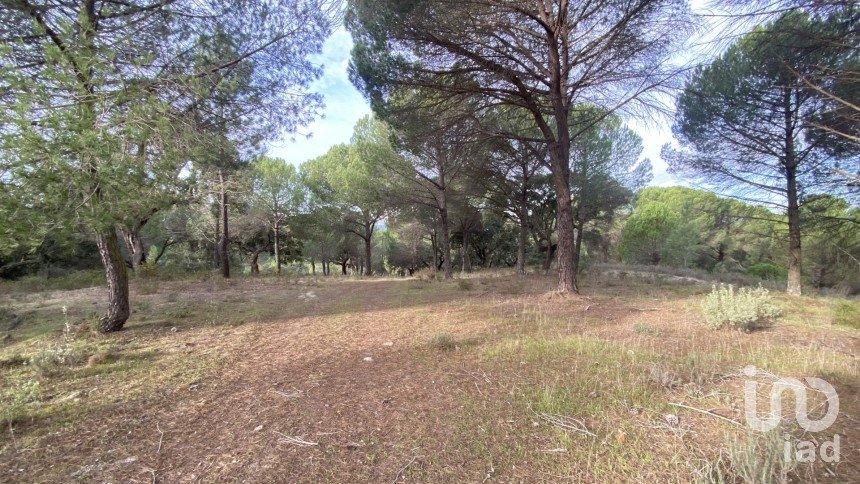 Terrain à Galveias de 28 000 m²