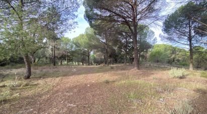 Terrain à Galveias de 28 000 m²