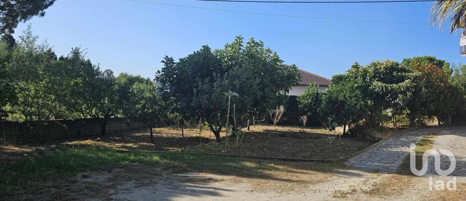 Casa T3 em Mangualde, Mesquitela e Cunha Alta de 176 m²