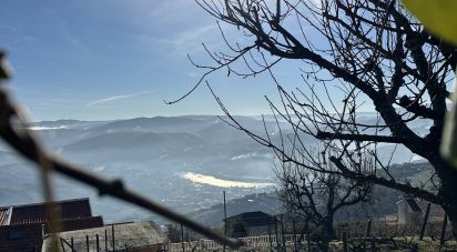 House T2 in Loureiro of 118 m²