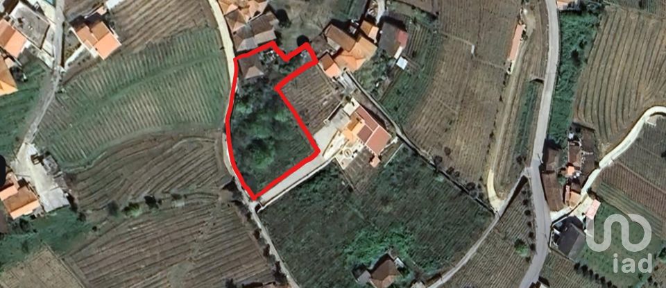 Moradia T2 em Loureiro de 118 m²