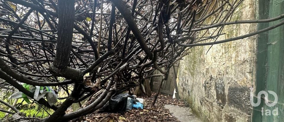 Moradia T2 em Loureiro de 118 m²