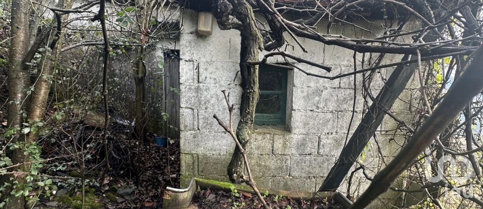 Moradia T2 em Loureiro de 118 m²