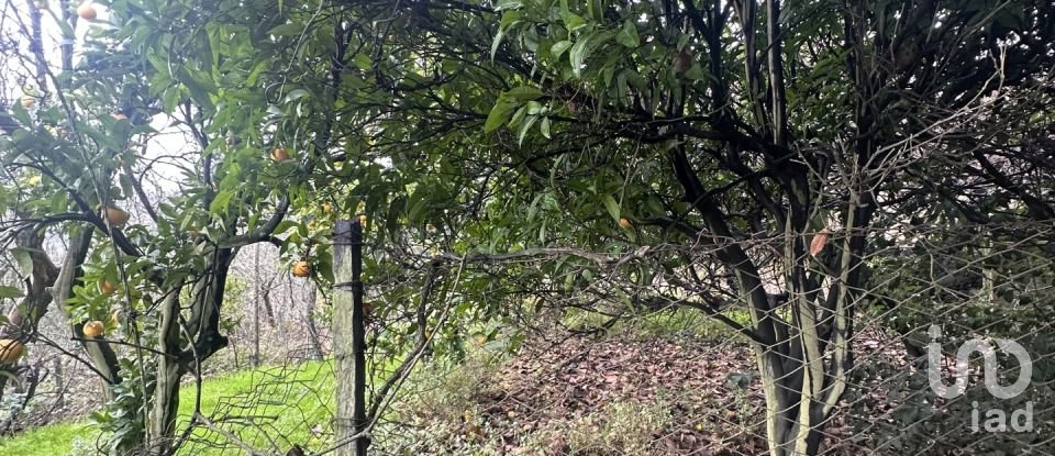 Moradia T2 em Loureiro de 118 m²