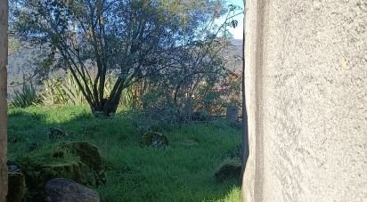 House T1 in Grade e Carralcova of 110 m²