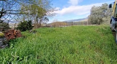 Terreno em Chaviães e Paços de 1 140 m²
