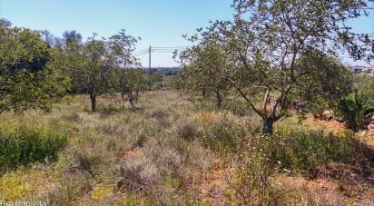 Maison rustique T4 à Ferreiras de 93 m²