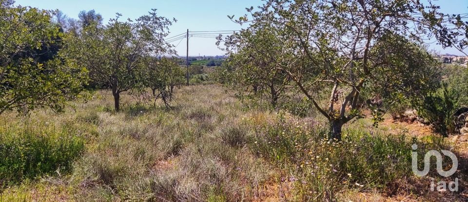 Country home T4 in Ferreiras of 93 m²