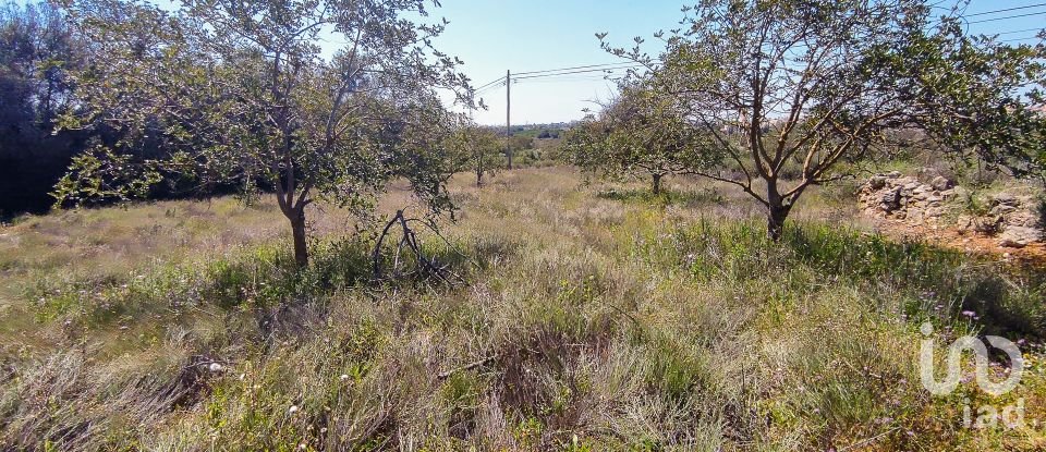 Country home T4 in Ferreiras of 93 m²