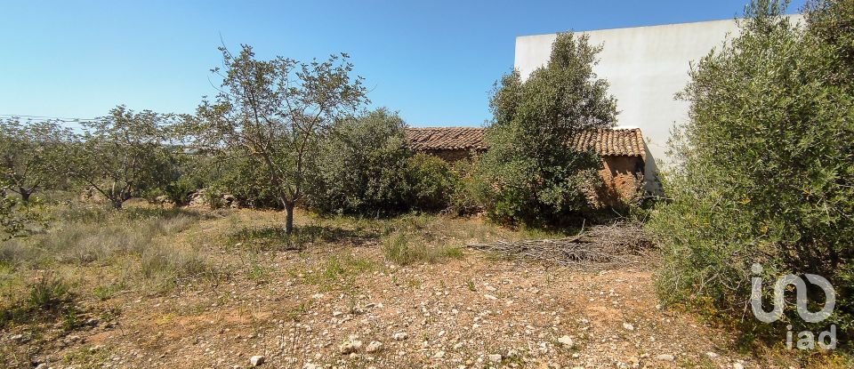 Country home T4 in Ferreiras of 93 m²