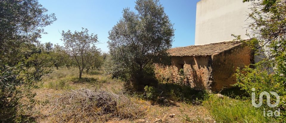 Country home T4 in Ferreiras of 93 m²