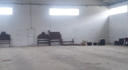 Surface diverse à Constantim e Vale de Nogueiras de 925 m²