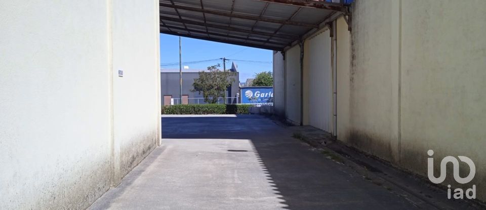 Surface diverse à Constantim e Vale de Nogueiras de 580 m²