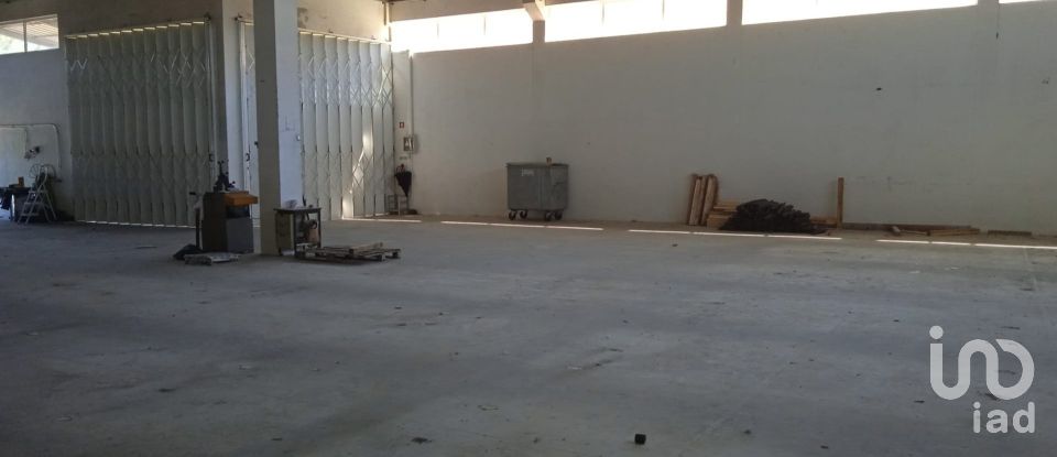 Surface diverse à Constantim e Vale de Nogueiras de 580 m²