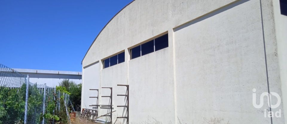 Surface diverse à Constantim e Vale de Nogueiras de 580 m²