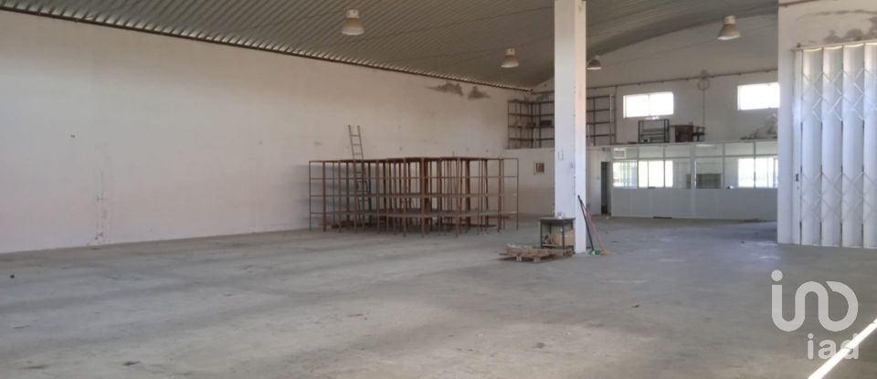 Surface diverse à Constantim e Vale de Nogueiras de 580 m²