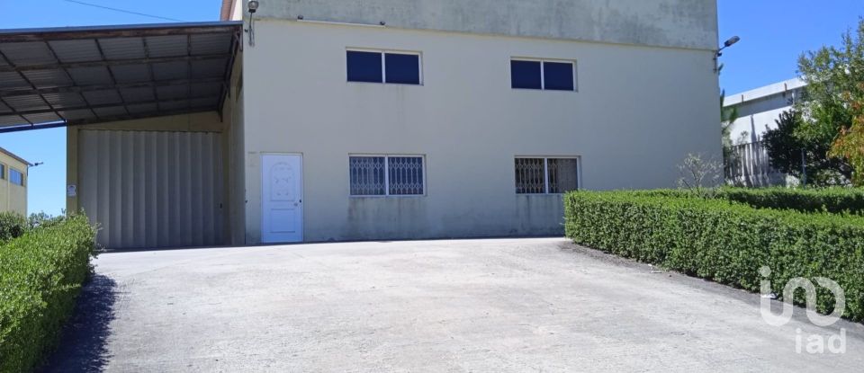 Surface diverse à Constantim e Vale de Nogueiras de 580 m²