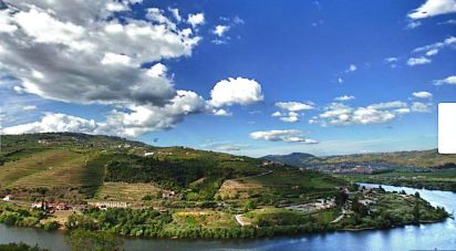 Boutique/Local commercial à Lamego (Almacave e Sé) de 3 348 m²