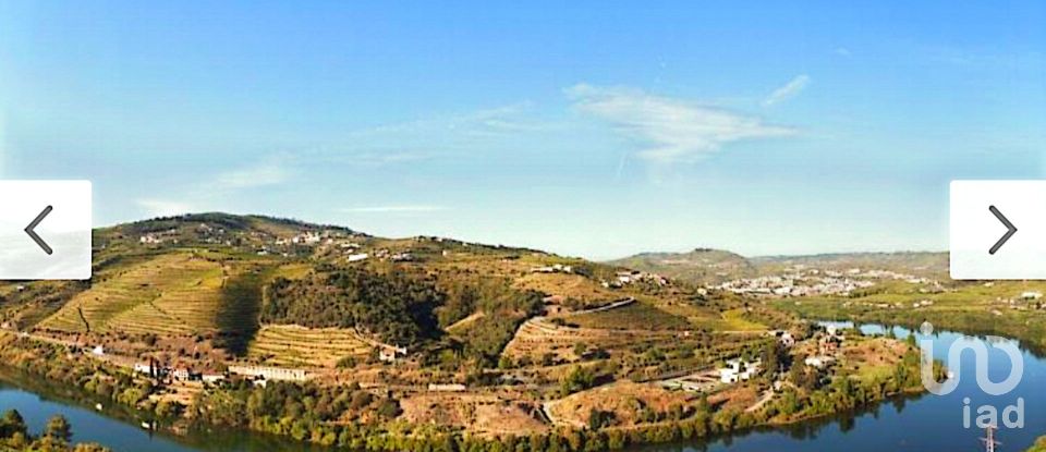 Boutique/Local commercial à Lamego (Almacave e Sé) de 3 348 m²