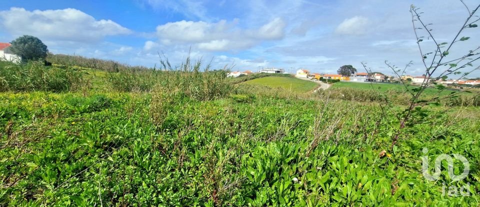 Terreno em Ericeira de 10 001 m²