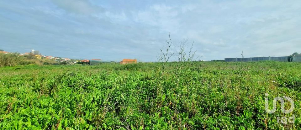 Terreno em Ericeira de 10 001 m²