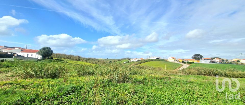 Terreno em Ericeira de 10 001 m²