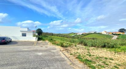 Terrain à Ericeira de 10 001 m²