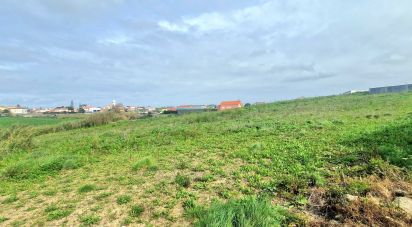 Terrain à Ericeira de 10 001 m²