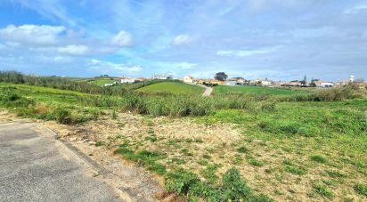 Terrain à Ericeira de 10 001 m²