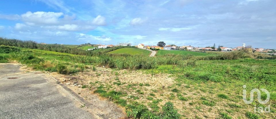 Terreno em Ericeira de 10 001 m²