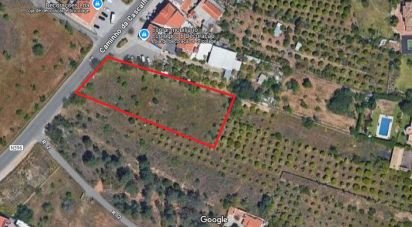 Farm land in Quarteira of 3,500 m²