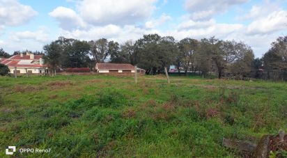 Ferme T4 à Fiães de 14 751 m²