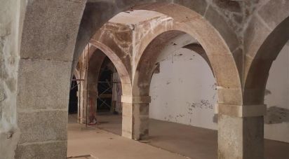 Boutique/Local commercial à Cedofeita, Santo Ildefonso, Sé, Miragaia, São Nicolau e Vitória de 488 m²