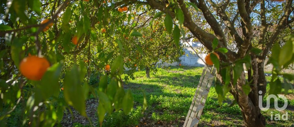 Gîte T3 à Boavista dos Pinheiros de 175 m²