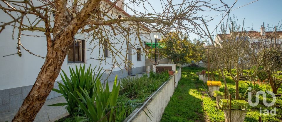 Gîte T3 à Boavista dos Pinheiros de 175 m²