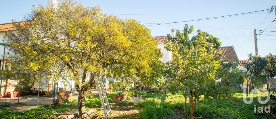 Gîte T3 à Boavista dos Pinheiros de 175 m²