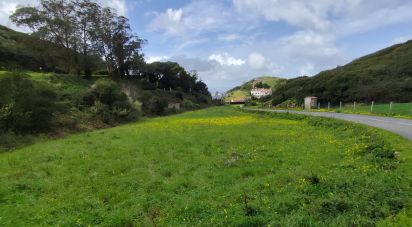 Terrain à Cadaval e Pêro Moniz de 2 600 m²