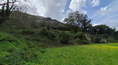 Terrain à Cadaval e Pêro Moniz de 2 600 m²