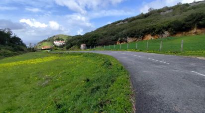 Terrain à Cadaval e Pêro Moniz de 2 600 m²