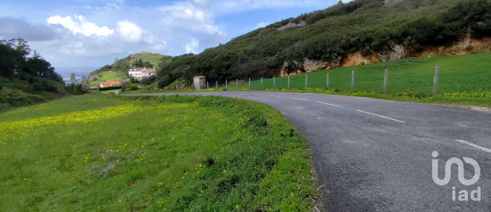 Terrain à Cadaval e Pêro Moniz de 2 600 m²