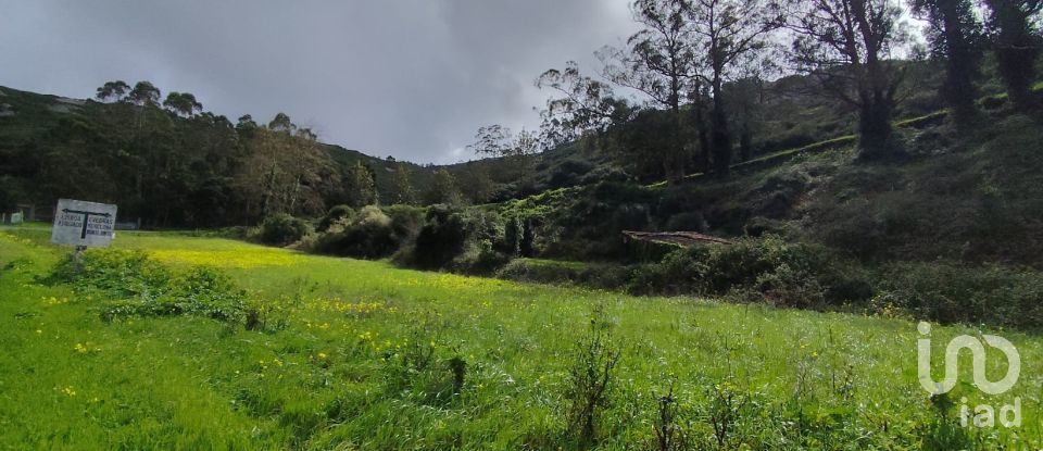 Terrain à Cadaval e Pêro Moniz de 2 600 m²