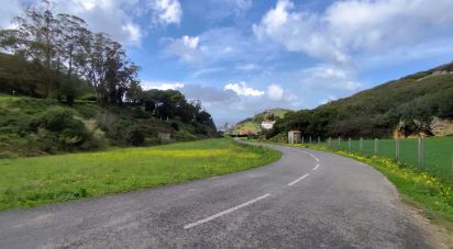 Terrain à Cadaval e Pêro Moniz de 2 600 m²